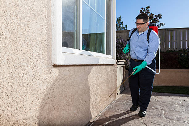 Best Pest Prevention Services  in Palmyra, WI